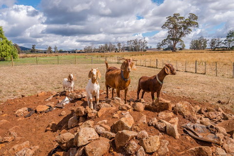 Glencoe Country Bed And Breakfast - Tourism Hervey Bay 36
