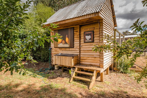 Glencoe Country Bed And Breakfast - Tourism Hervey Bay 34