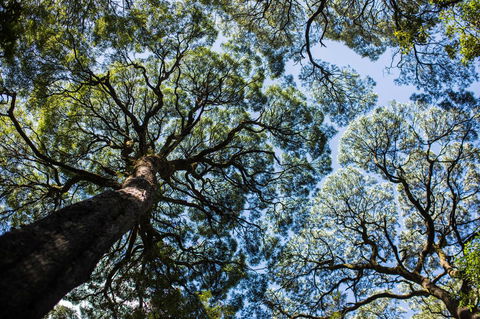 Strahan Village - Hervey Bay Accommodation 26