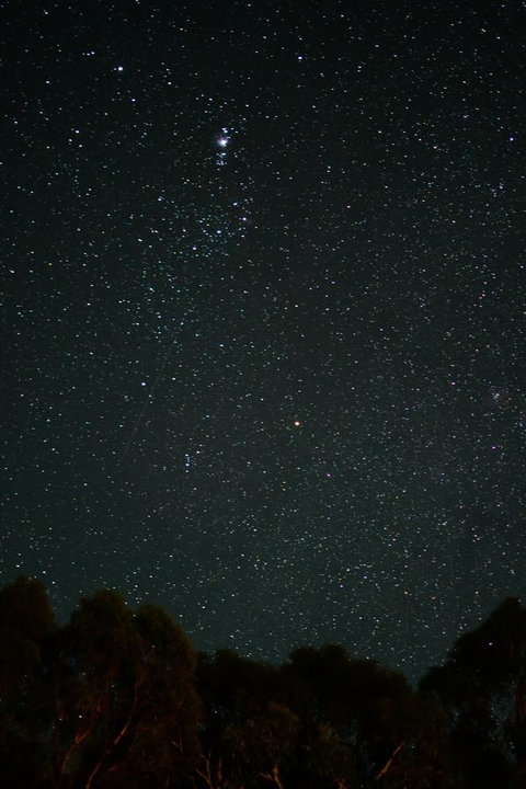 Naivasha Cottage - Hervey Bay Accommodation 14