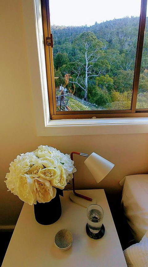 The View 2 Bed Unit With Stunning Hobart Outlook - Hervey Bay Accommodation 6