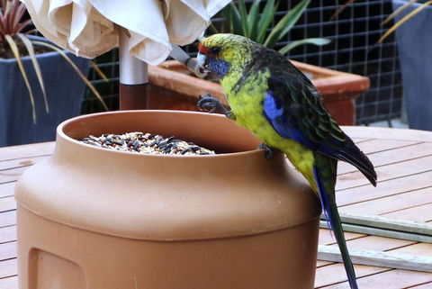 THE LOFT @ Bay Of Fires Seascape - Hervey Bay Accommodation 22