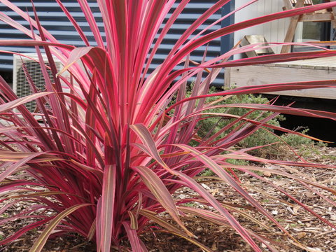 Captain Cook Holiday Park - Hervey Bay Accommodation 15