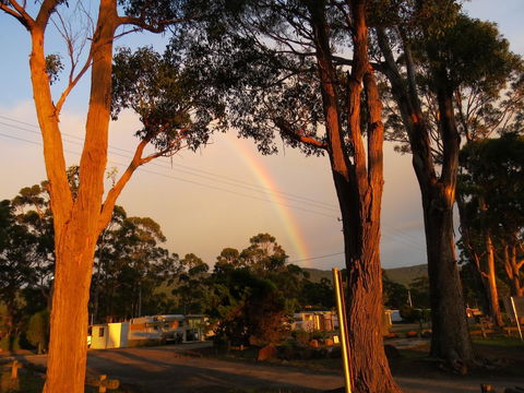 Captain Cook Holiday Park - Hervey Bay Accommodation 12