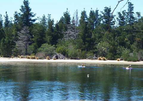 Orford Blue Waters Hotel - Hervey Bay Accommodation 42