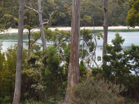 Stewarts Bay Lodge - Hervey Bay Accommodation 23