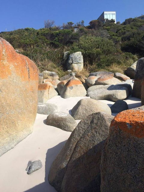 Holland House Bay Of Fires - Hervey Bay Accommodation 5