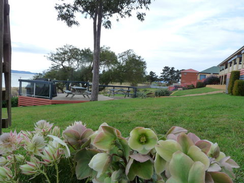 Swansea Motor Inn Tasmania - Hervey Bay Accommodation 17