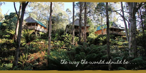 Lemonthyme Wilderness Retreat - Hervey Bay Accommodation 20