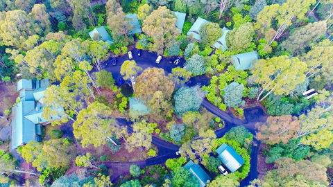 Lemonthyme Wilderness Retreat - Hervey Bay Accommodation 1