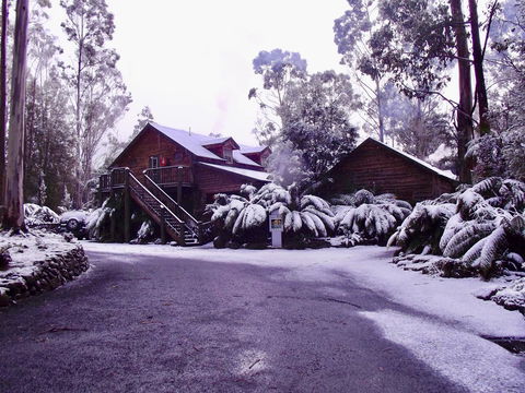 Lemonthyme Wilderness Retreat - Hervey Bay Accommodation 12