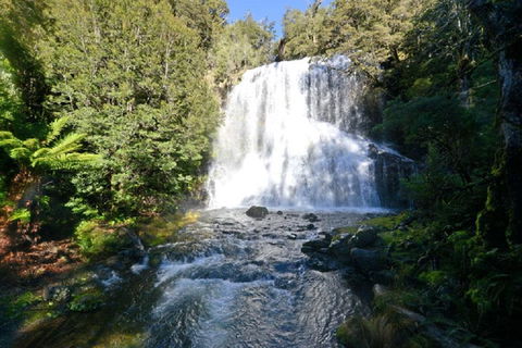 Lemonthyme Wilderness Retreat - Hervey Bay Accommodation 19