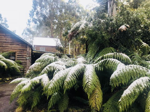 Lemonthyme Wilderness Retreat - Hervey Bay Accommodation 5