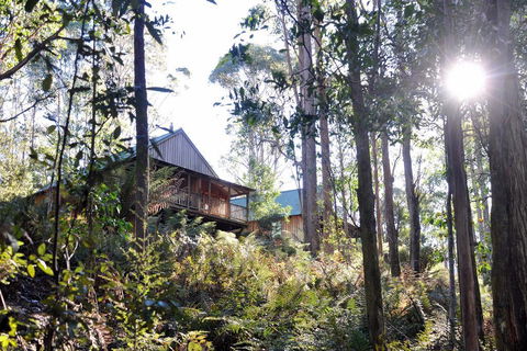 Lemonthyme Wilderness Retreat - Hervey Bay Accommodation 25