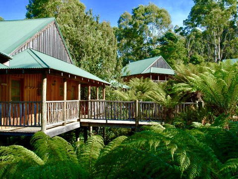 Lemonthyme Wilderness Retreat - Hervey Bay Accommodation 11