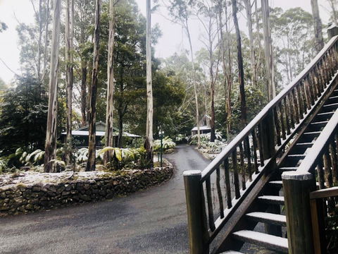 Lemonthyme Wilderness Retreat - Hervey Bay Accommodation 15