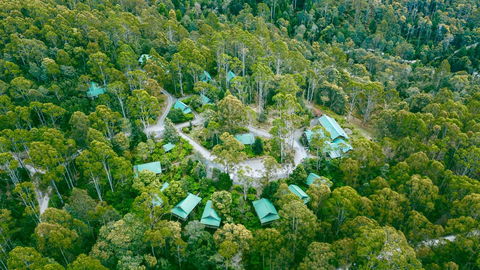 Lemonthyme Wilderness Retreat - Hervey Bay Accommodation 0