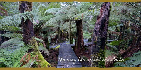 Lemonthyme Wilderness Retreat - Hervey Bay Accommodation 17