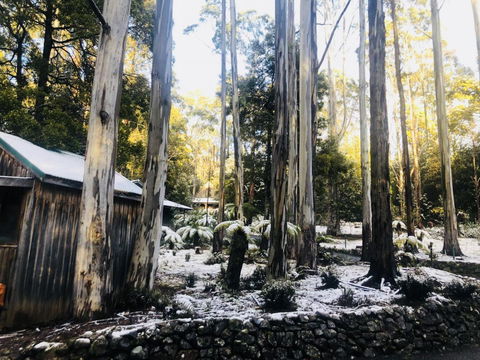Lemonthyme Wilderness Retreat - Hervey Bay Accommodation 6