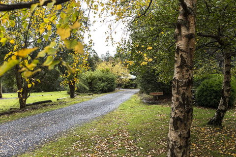Cradle Forest Inn - Tourism Hervey Bay 36