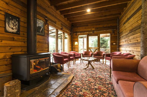 Cradle Forest Inn - Tourism Hervey Bay 1