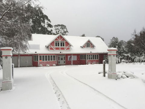 Cradle Forest Inn - Tourism Hervey Bay 0
