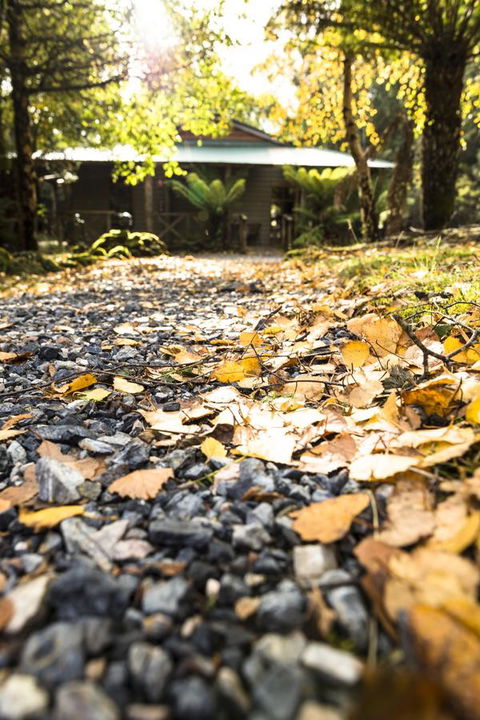 Cradle Forest Inn - Tourism Hervey Bay 35