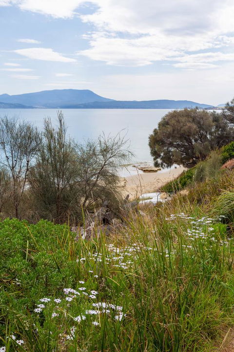 Blessington Beach Retreat - Tourism Hervey Bay 37