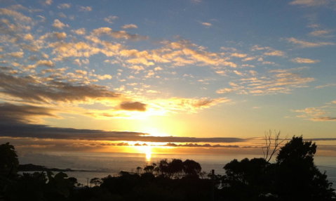 Up The Back - Hervey Bay Accommodation 33