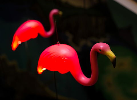 Alabama Hotel Hobart - Tourism Hervey Bay 42