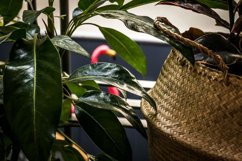 Alabama Hotel Hobart - Tourism Hervey Bay 25