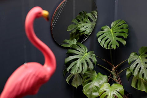 Alabama Hotel Hobart - Tourism Hervey Bay 15