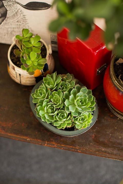 Alabama Hotel Hobart - Tourism Hervey Bay 39