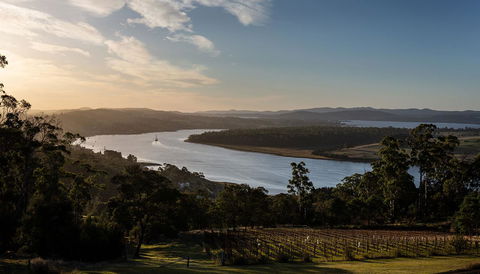Domescapes In The Vines - Hervey Bay Accommodation 10