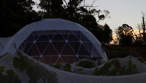 Domescapes In The Vines - Hervey Bay Accommodation 12