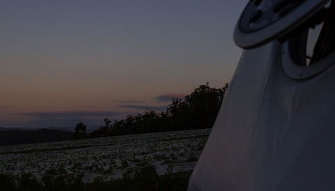 Domescapes In The Vines - Hervey Bay Accommodation 4