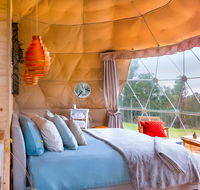 Domescapes in the Vines - Tourism Hervey Bay