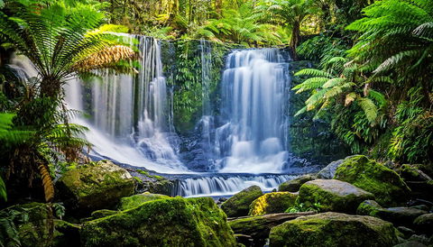 Domescapes In The Vines - Hervey Bay Accommodation 13