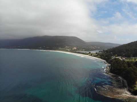 Osprey Lodge & Bungalow - Tourism Hervey Bay 19