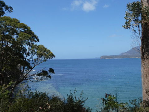 Osprey Lodge & Bungalow - Tourism Hervey Bay 3