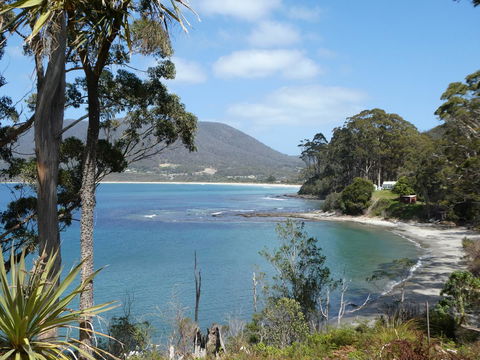 Osprey Lodge & Bungalow - Tourism Hervey Bay 4