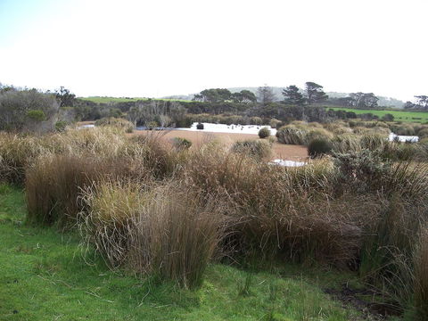 Cloudy Bay Beach House - Tourism Hervey Bay 24
