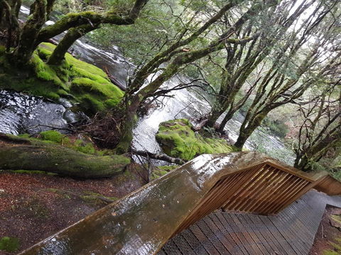 Cradle Alpine Retreat - Tourism Hervey Bay 13