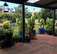 Blue Wren Bungalow - Hervey Bay Accommodation