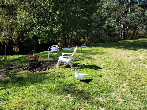 Wanderlust Cottage - Hervey Bay Accommodation 18