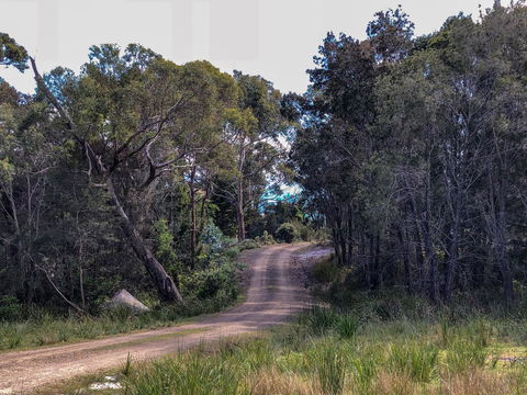 BAY OF FIRES ECO HUT Off Grid Experience At Binalong Bay - Hervey Bay Accommodation 12