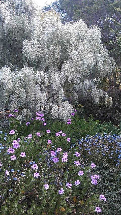 Beezneez B&B - Hervey Bay Accommodation 15