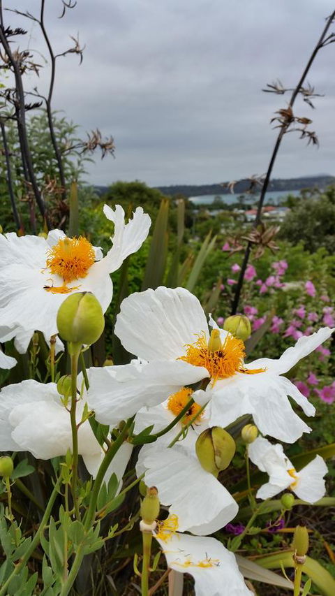 Beezneez B&B - Hervey Bay Accommodation 13