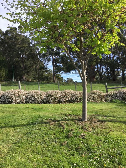 Nextdoor@portarthur - Hervey Bay Accommodation 17