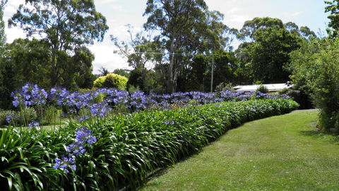 Tamar River Retreat - Tourism Hervey Bay 11